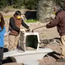 El Ecoparque mostró cómo actúa ante emergencias con la fauna silvestre