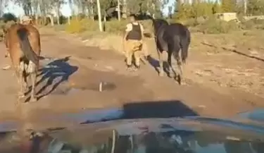 Operativo policial