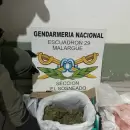 Hallaron un kilo de droga en una encomienda que iba desde San Rafael a Neuqu�n: un detenido