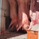 Decomisaron en Tunuy�n m�s de tres toneladas de carne no apta para consumo humano