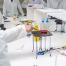 El INV distingui� a un instituto mendocino por la calidad de su laboratorio enol�gico