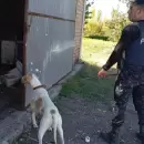 Un perro rastreador permitió recuperar bienes robados en una finca de Rivadavia