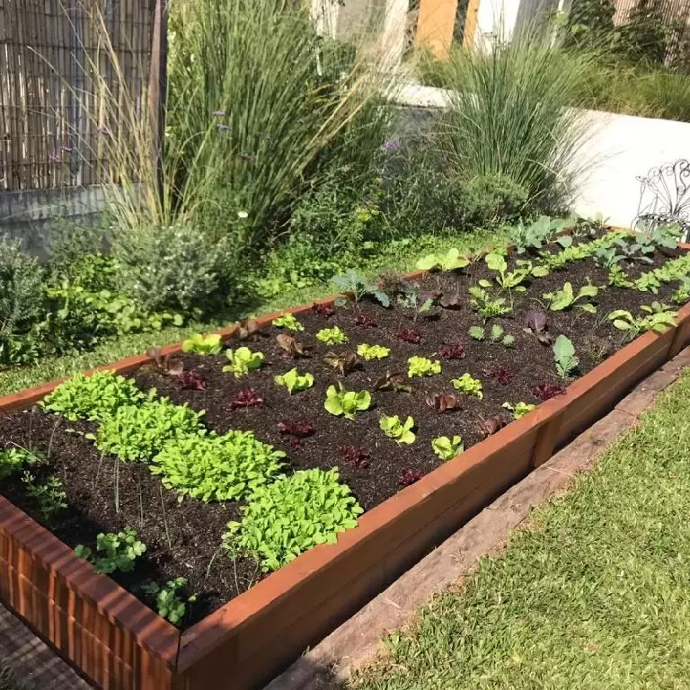 huerta