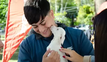 movil veterinario