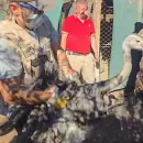 Rescataron �and�es en cautiverio y otras especies en un operativo en una finca de Maip�