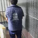 Detuvieron a cuatro delincuentes por robos en Rivadavia: uno de ellos es menor de edad