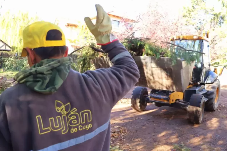 Luján trabajos