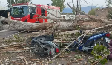 muerto