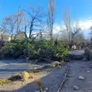 El viento Zonda golpe� con fuerza en Mendoza: cu�les fueron los sectores m�s afectados