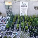 Desarticularon en Mendoza una organización internacional que traficaba personas, armas y droga
