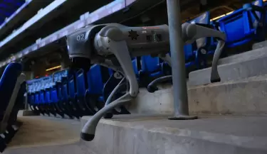 perros robots