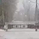 (Video) Intensa nevada en El Manzano Histórico: piden circular con precaución por las rutas