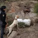 El perro polic�a Fito recuper� elementos robados de una cancha municipal de Santa Rosa