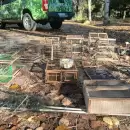 Rescataron aves silvestres y serán rehabilitadas en el centro especializado que tiene YPF