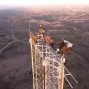 (Video) Un dron captó a cóndores andinos posados sobre una antena en Tupungato
