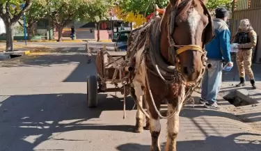 caballo