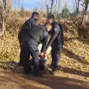 Ten�a pedido de captura por violencia de g�nero, escap�, choc� y termin� detenido en Maip�