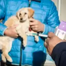 Las Heras realizar� jornadas de adopci�n responsable y caminatas con mascotas durante junio