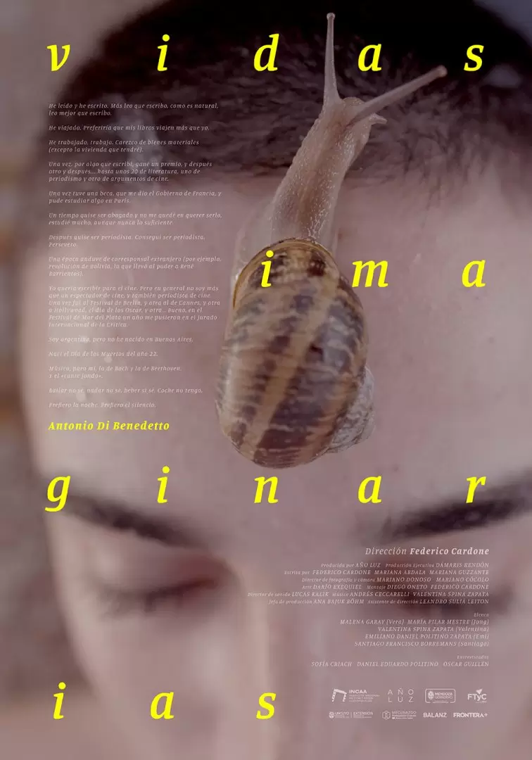 afiche vidas imaginarias