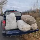 Detuvieron a un hombre tras un operativo que permiti� recuperar 250 kilos de nueces