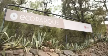 fondo de inversi�n mendoza