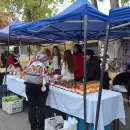 Las escuelas agrotécnicas de San Rafael debutan con éxito en la venta directa de sus productos