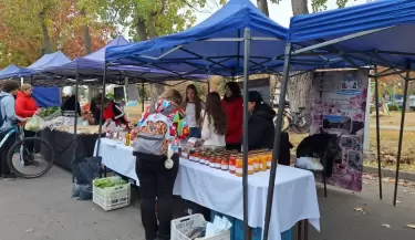 san rafael - escuelas agrotecnicas