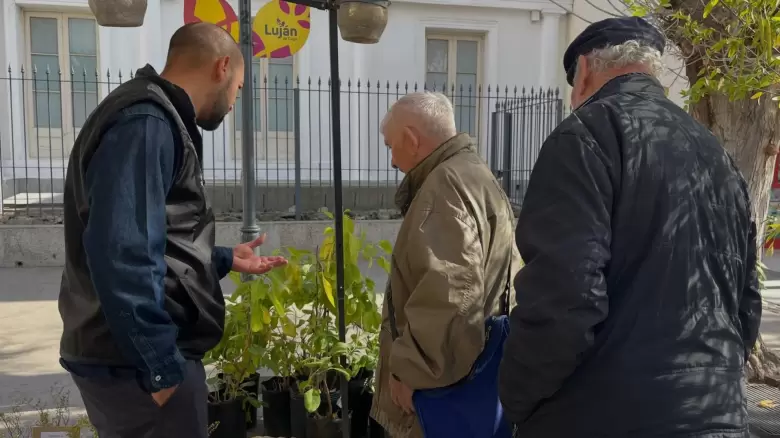 DÍA DEL AMBIENTE