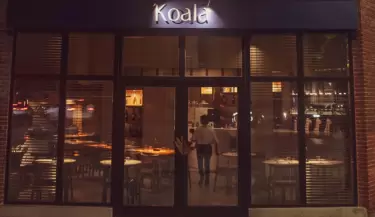 koala portada