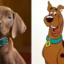 Netflix presentó el primer avance de su serie live action de Scooby-Doo