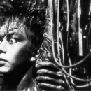 El clásico de culto "Tetsuo, el Hombre de Hierro" se proyectará gratis en el Microcine Municipal