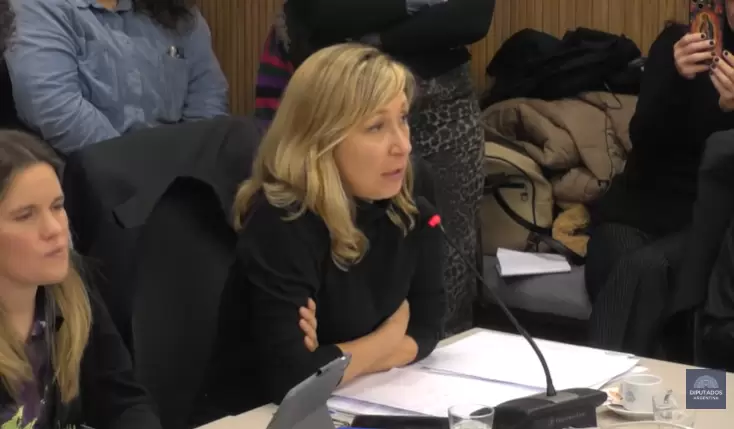 comisi�n diputados