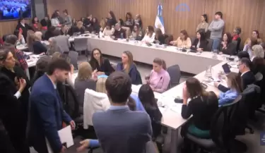 comisi�n diputados