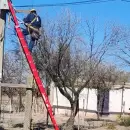 Finaliz� una obra clave para mejorar el abastecimiento el�ctrico en zonas rurales de Lavalle