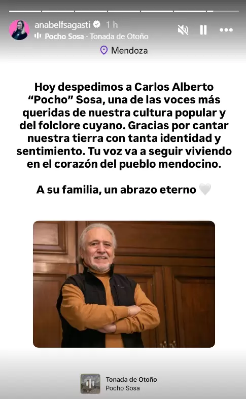 POCHO SOSA SAGASTI