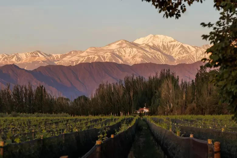 FINCA BANDINI