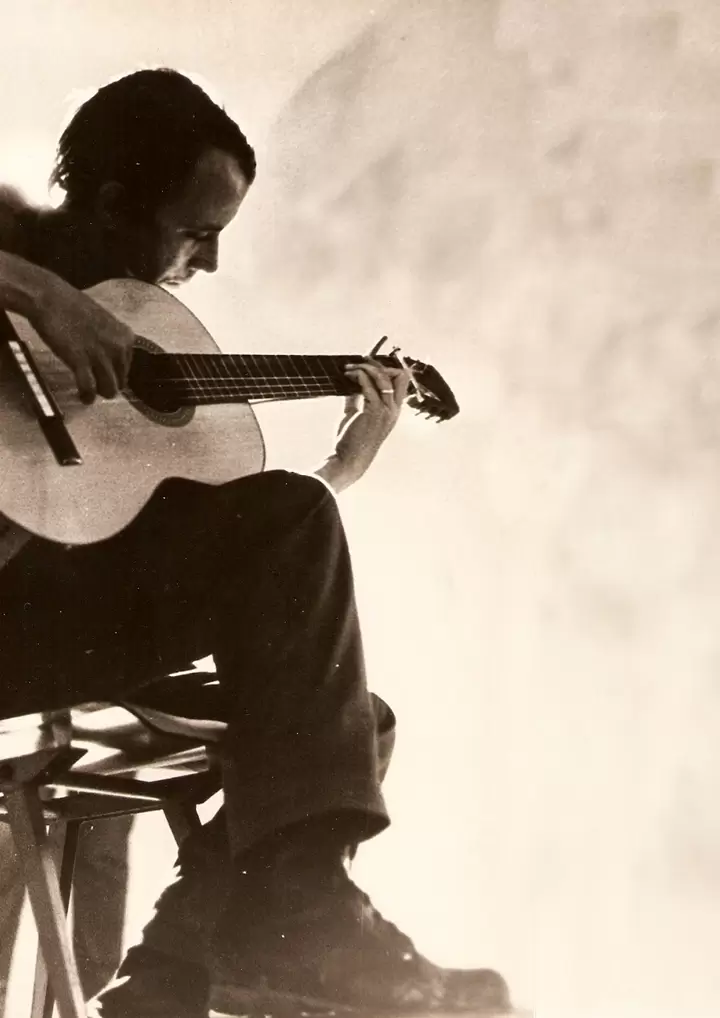 el necio
