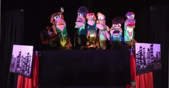 festival yoga