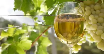 salud intestinal