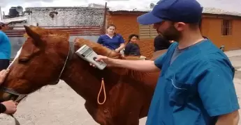 la quiaca