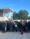 cornejo