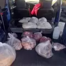 Decomisaron carne sin control de origen: investigan una faena clandestina en San Mart�n y San Rafael