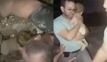 bebe