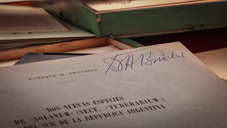 archivo personal_bruhcer