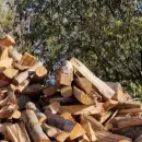 El frío disparó la venta de leña en Mendoza y la demanda creció hasta un 50%