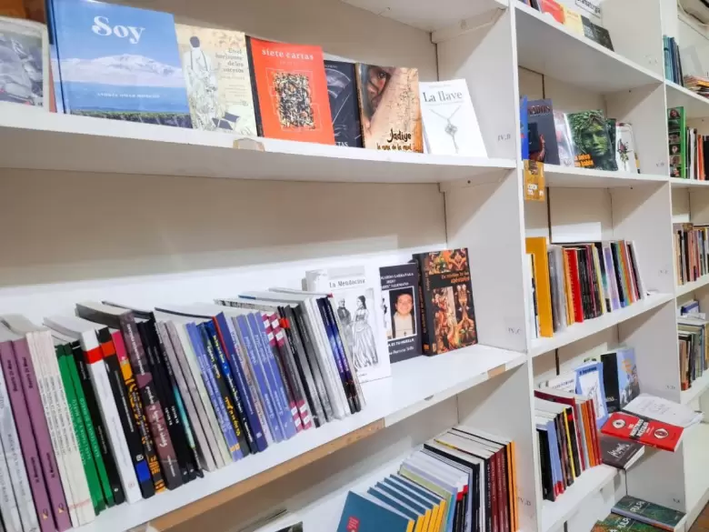 biblioteca-1-e1783350049519