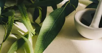 hidroterapia