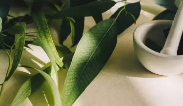 fitoterapia 1