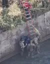 cornejo
