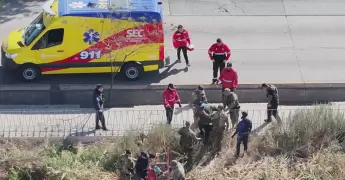 operativo Lobesia botrana